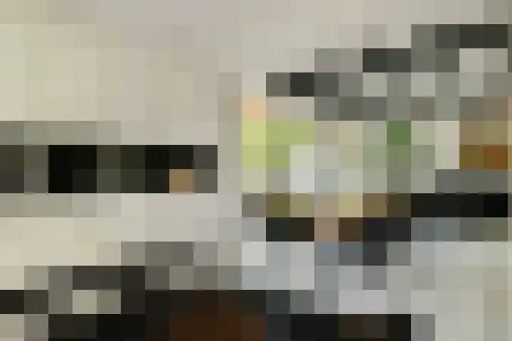 Scheepsbouwersweg 13 Landsmeer thumbnail 24