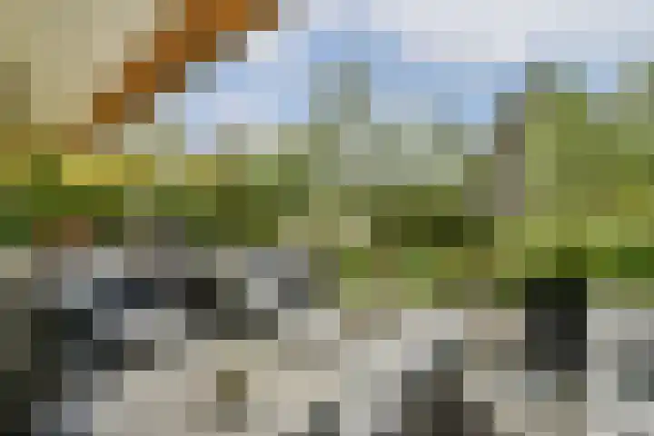 Scheepsbouwersweg 13 Landsmeer thumbnail 28
