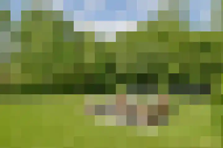 Scheepsbouwersweg 13 Landsmeer thumbnail 31