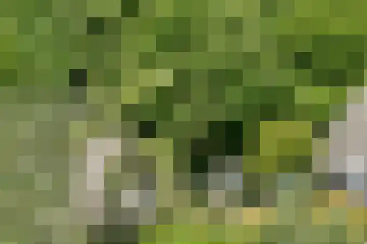Scheepsbouwersweg 13 Landsmeer thumbnail 33