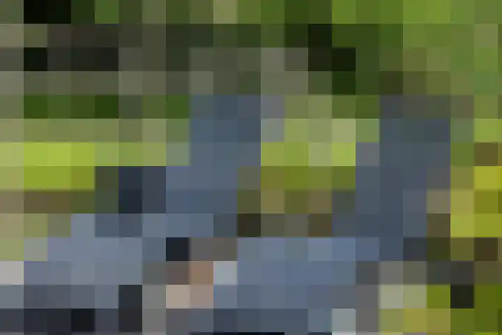 Scheepsbouwersweg 13 Landsmeer thumbnail 34