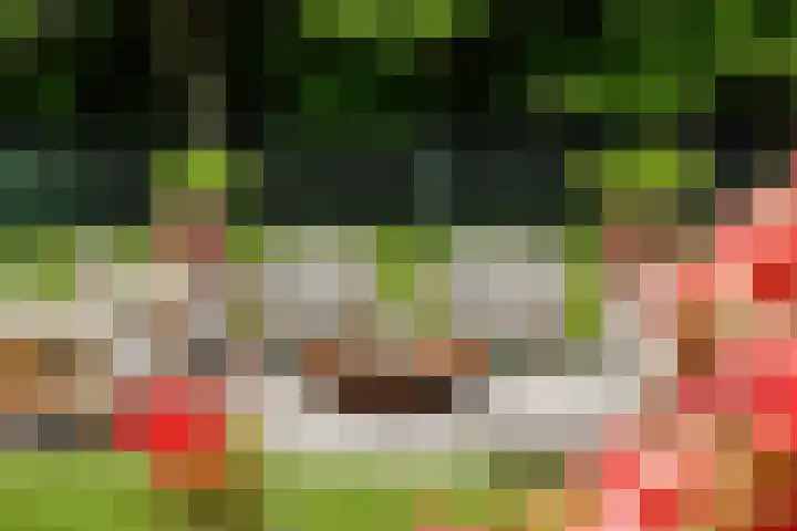 Scheepsbouwersweg 13 Landsmeer thumbnail 35