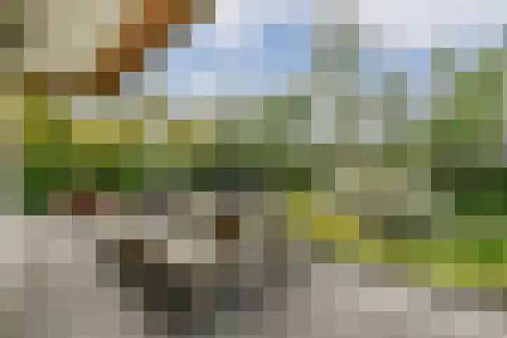Scheepsbouwersweg 13 Landsmeer thumbnail 36