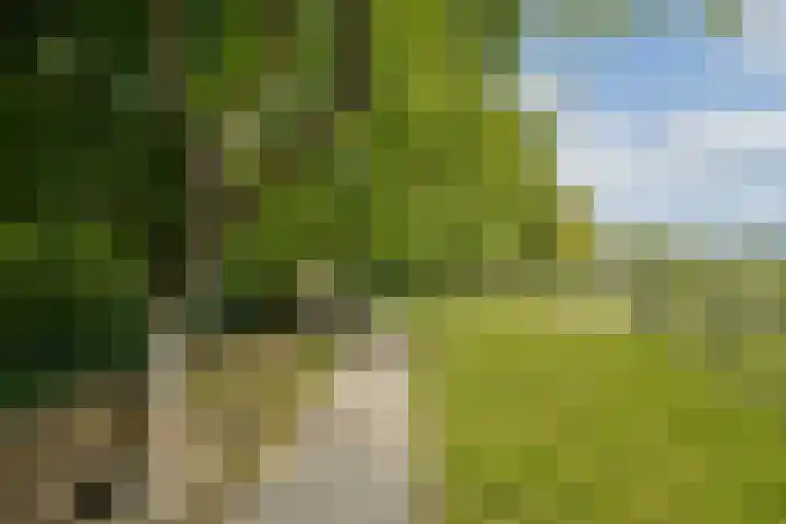 Scheepsbouwersweg 13 Landsmeer thumbnail 38