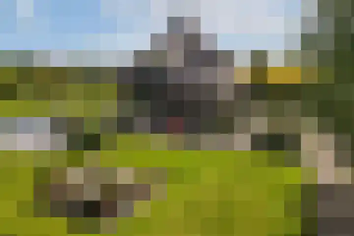 Scheepsbouwersweg 13 Landsmeer thumbnail 4