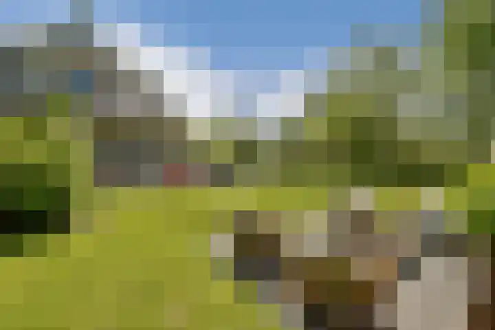 Scheepsbouwersweg 13 Landsmeer thumbnail 40