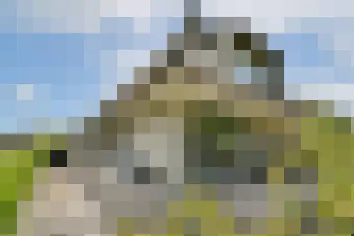 Scheepsbouwersweg 13 Landsmeer thumbnail 41