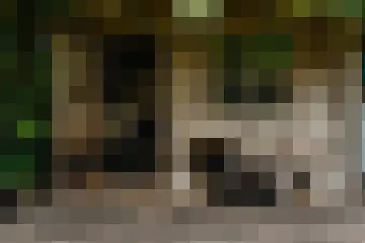 Scheepsbouwersweg 13 Landsmeer thumbnail 43