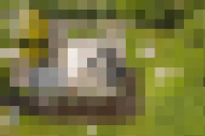 Scheepsbouwersweg 13 Landsmeer thumbnail 5