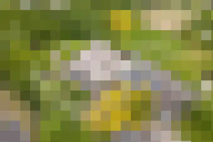 Scheepsbouwersweg 13 Landsmeer thumbnail 6
