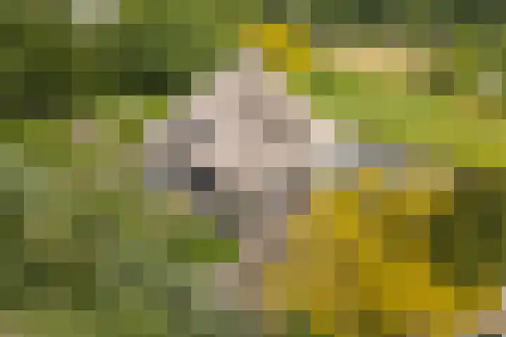 Scheepsbouwersweg 13 Landsmeer thumbnail 69
