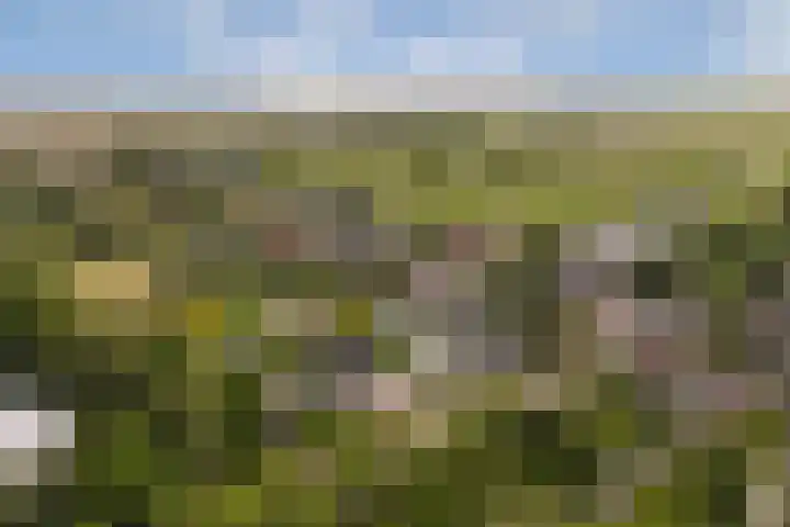 Scheepsbouwersweg 13 Landsmeer thumbnail 9