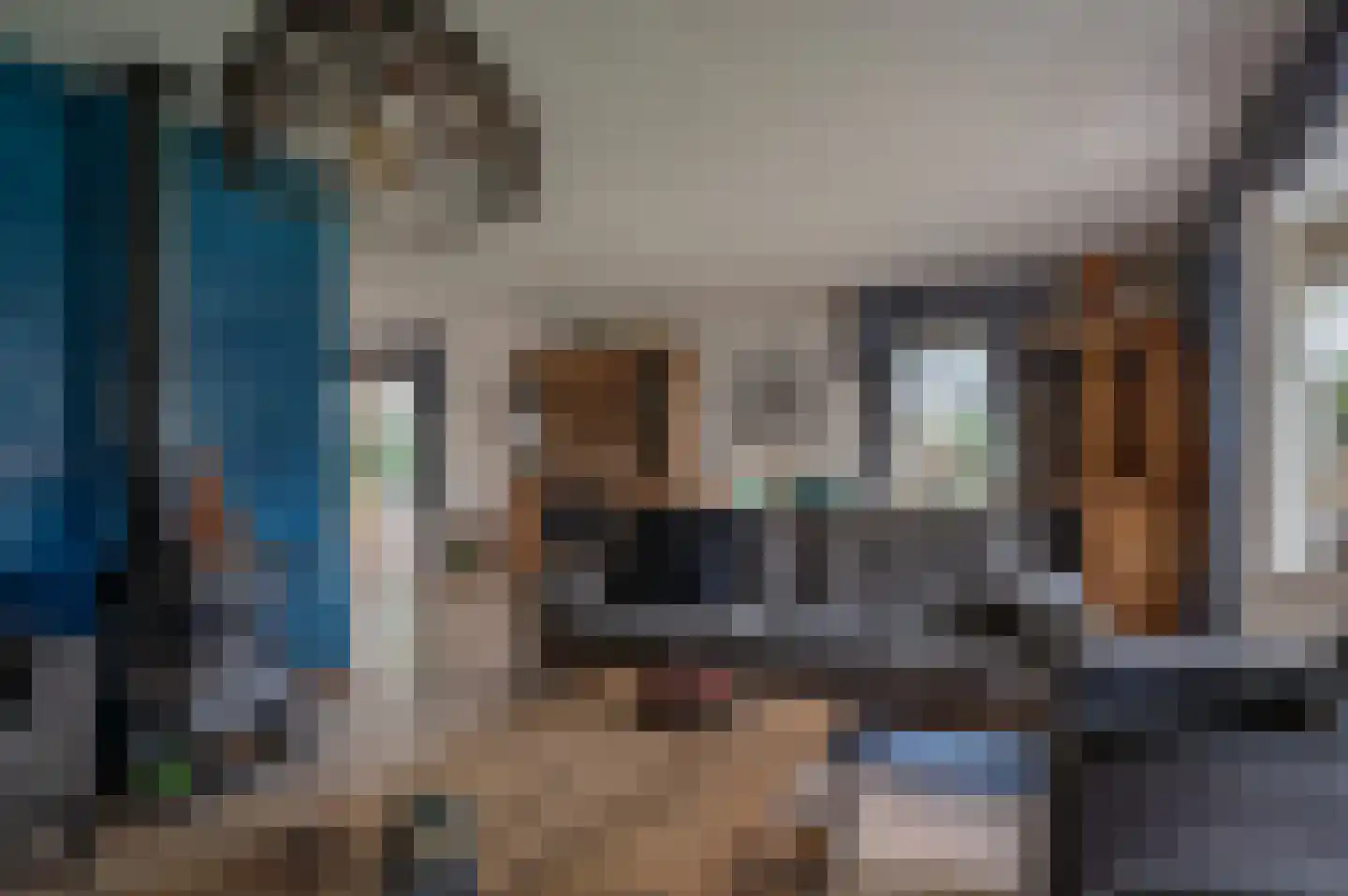 Scheepsdiep 3 Blokzijl thumbnail 15