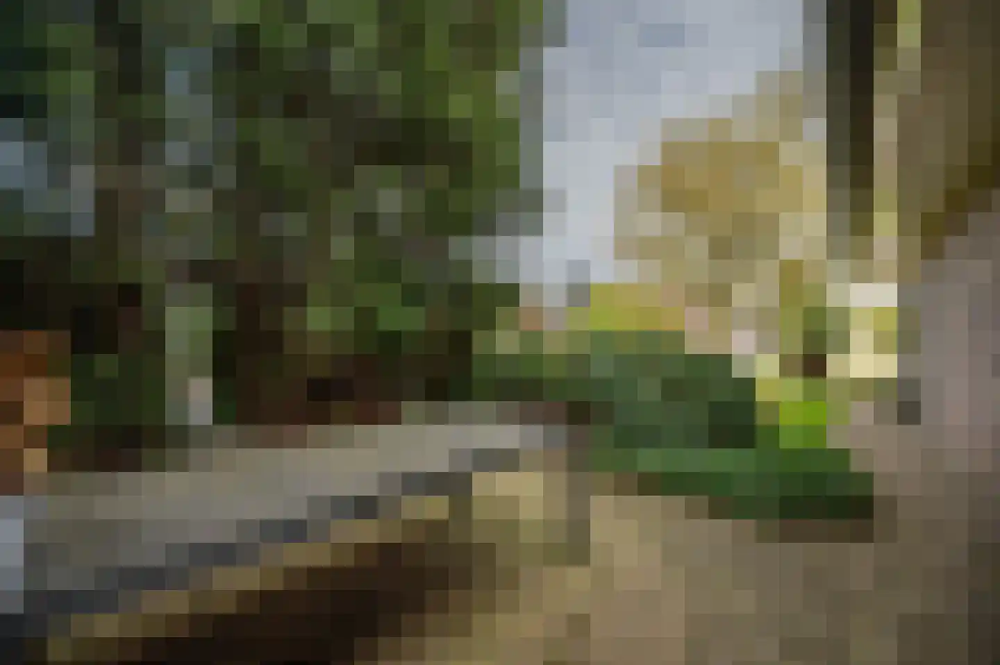 Scheepsdiep 3 Blokzijl thumbnail 39