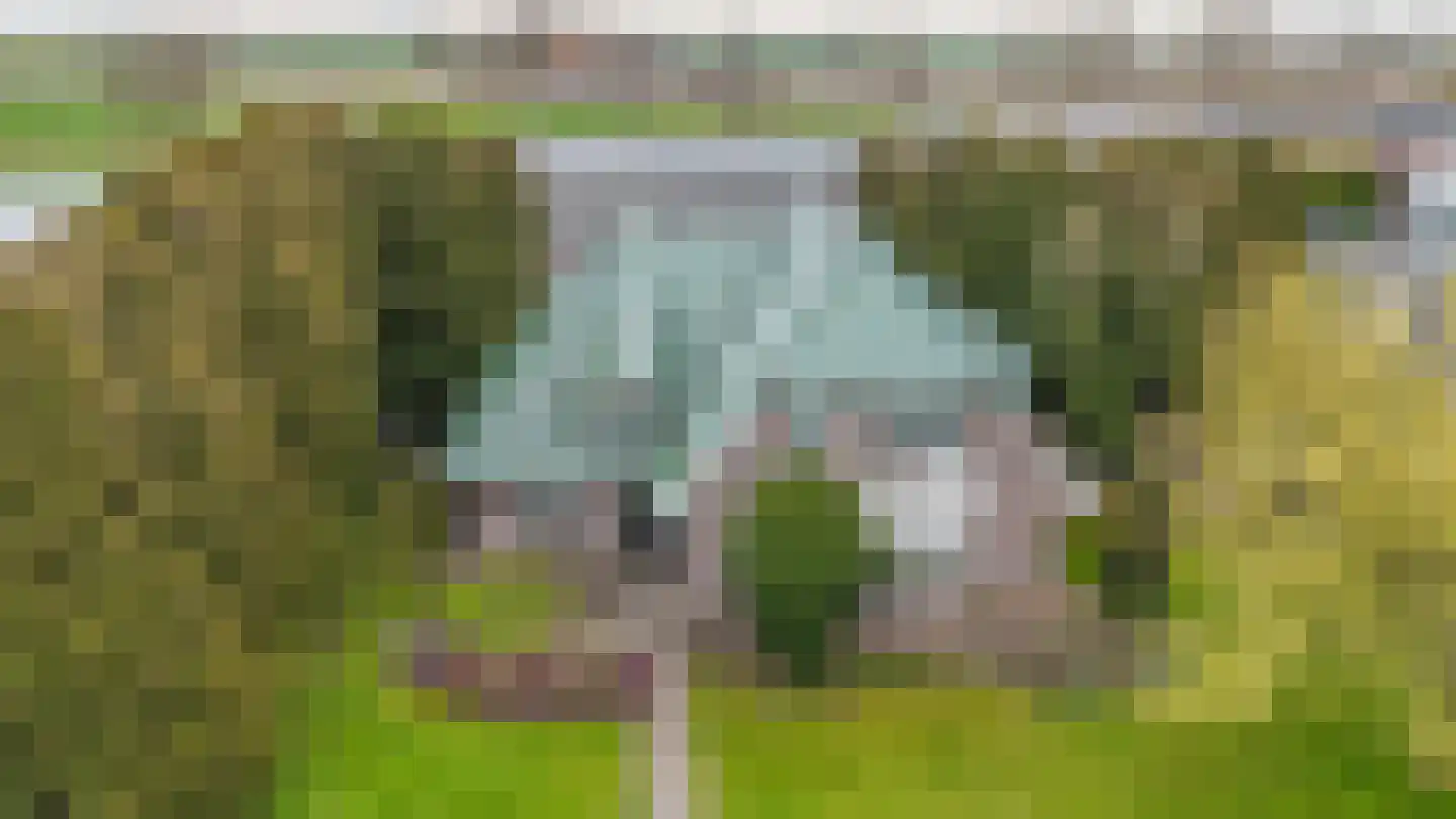 Scheepsdiep 3 Blokzijl thumbnail 4