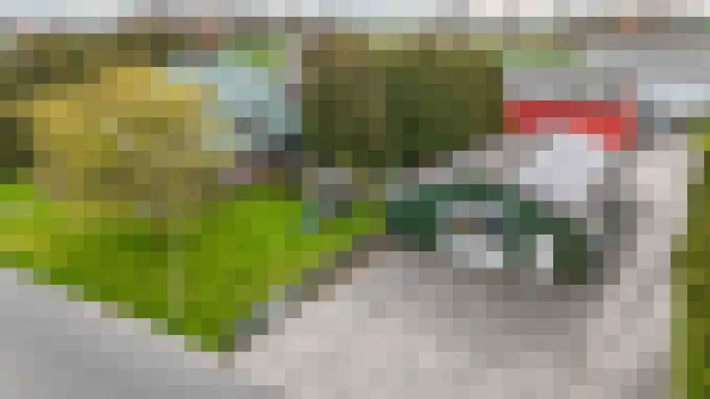 Scheepsdiep 3 Blokzijl thumbnail 43