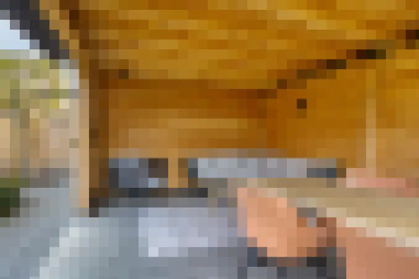 Scheepsjager 7 Meppel thumbnail 39
