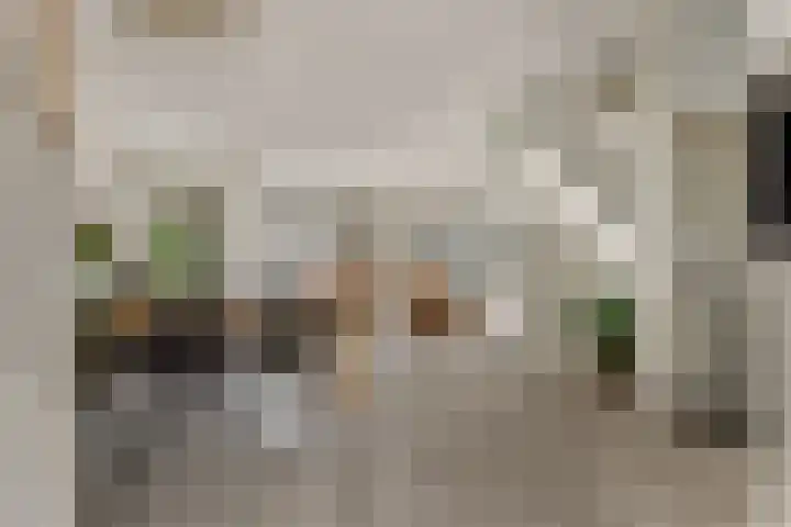 Scheepsjagerstraat 17 Alkmaar thumbnail 7
