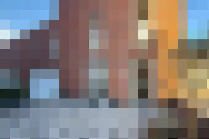 Scheepsjagerstraat 20 Alkmaar thumbnail 17