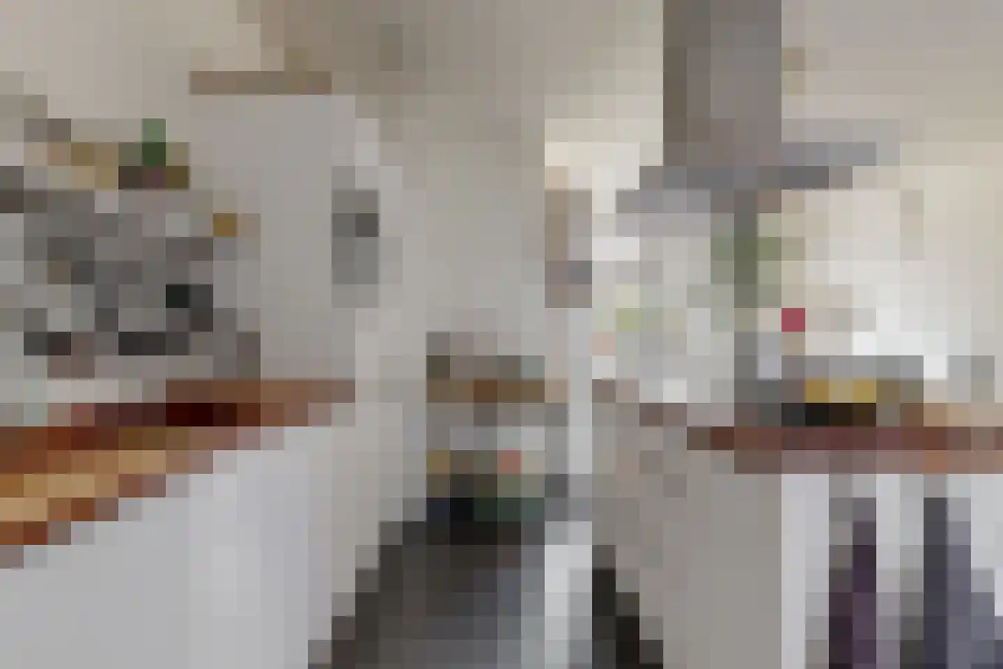 Scheepsjagerstraat 4 Alkmaar thumbnail 11