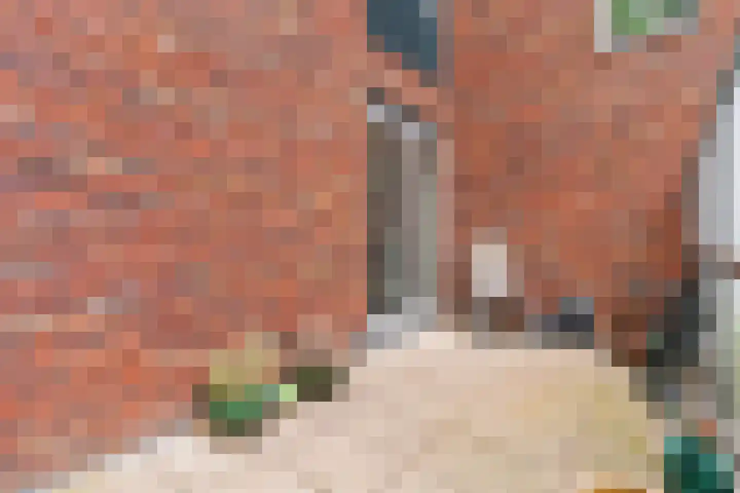 Scheepsjagerstraat 4 Alkmaar thumbnail 30