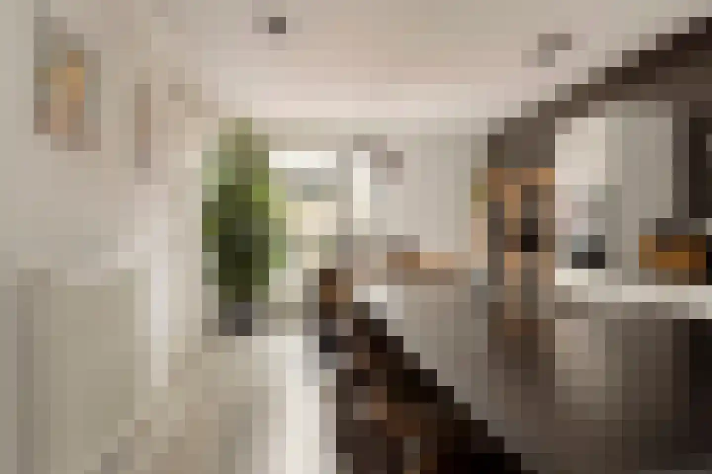 Scheepsjagerstraat 8 Alkmaar thumbnail 10