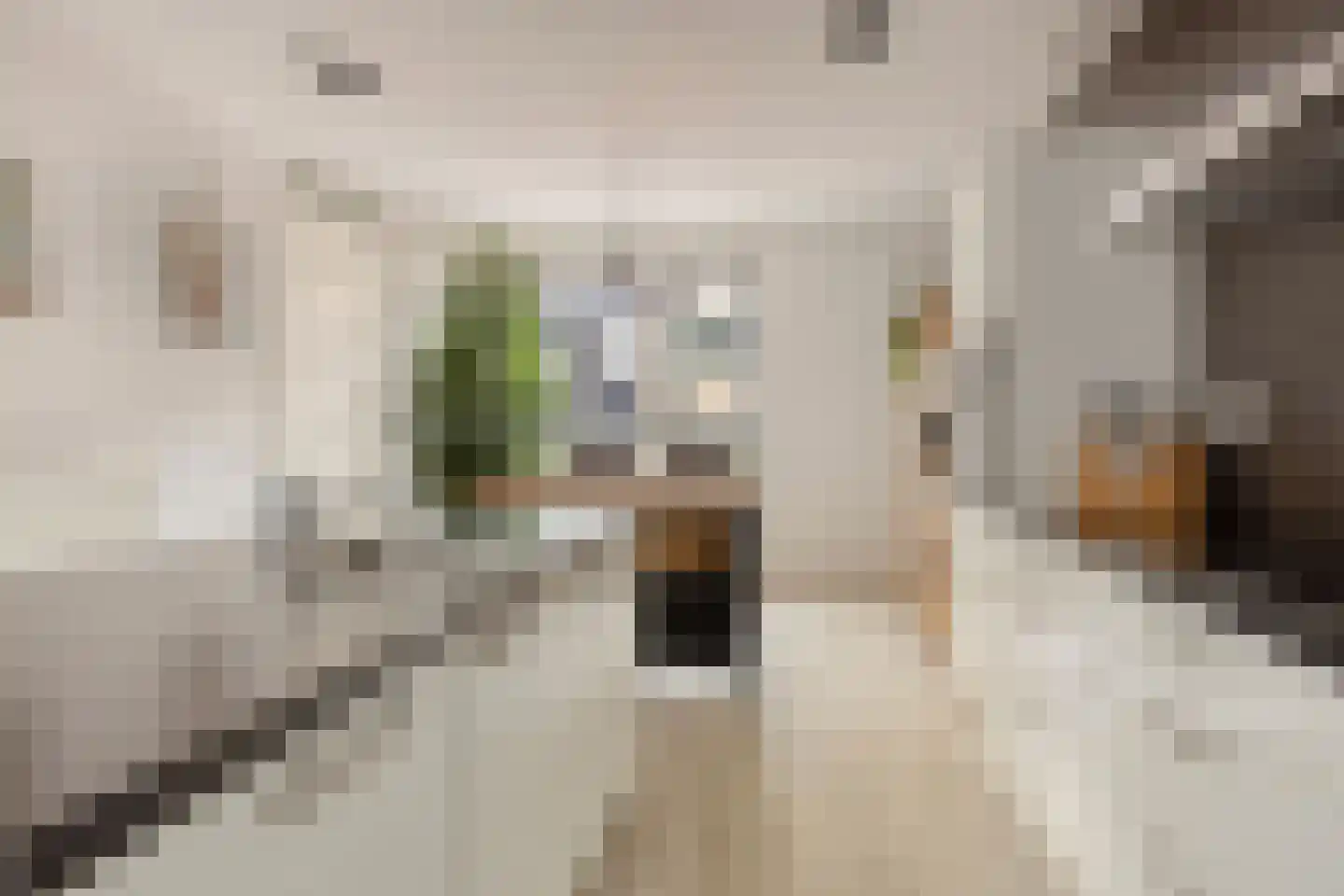 Scheepsjagerstraat 8 Alkmaar thumbnail 11