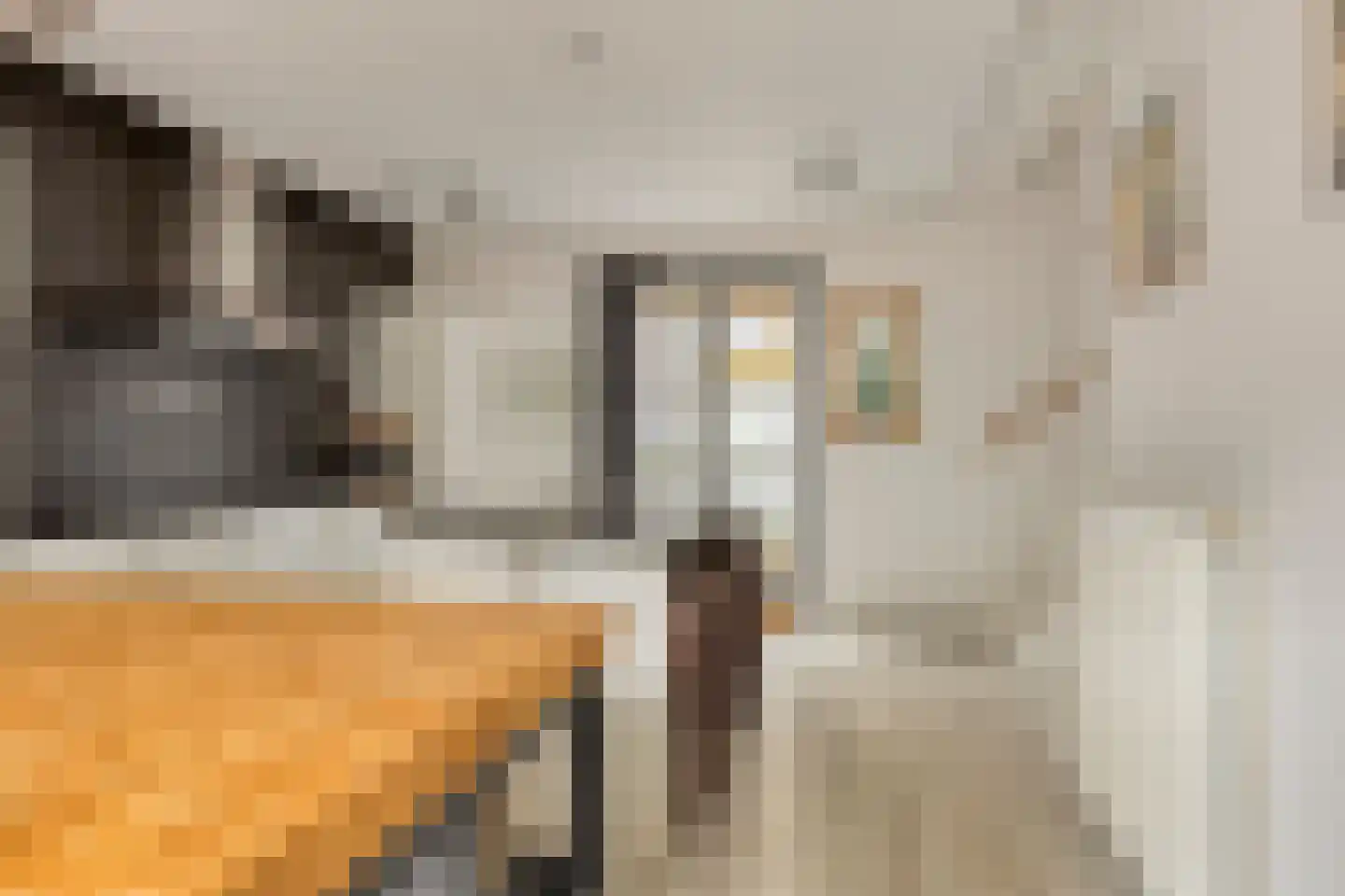 Scheepsjagerstraat 8 Alkmaar thumbnail 12