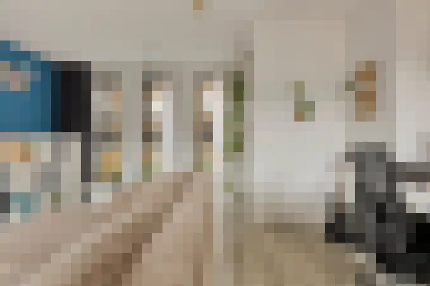 Scheepsjagerstraat 8 Alkmaar thumbnail 20