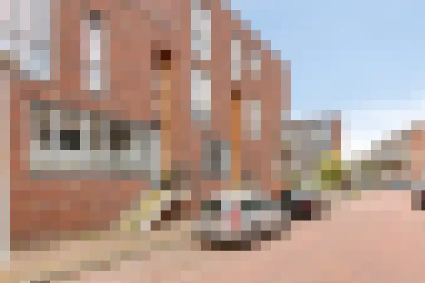 Scheepsjagerstraat 8 Alkmaar thumbnail 29