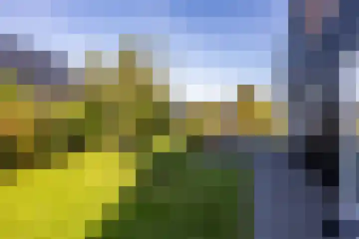 Scheepsmeter 15 Blauwestad thumbnail 27