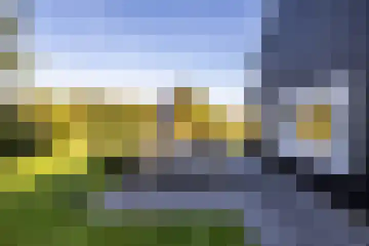 Scheepsmeter 15 Blauwestad thumbnail 28