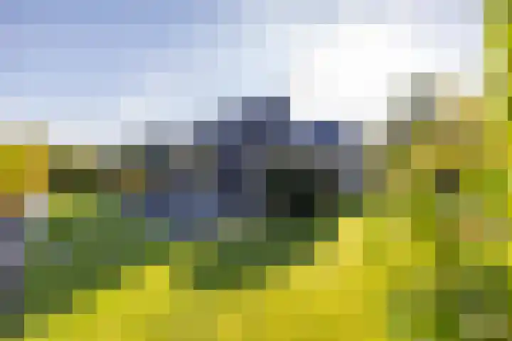 Scheepsmeter 15 Blauwestad thumbnail 29