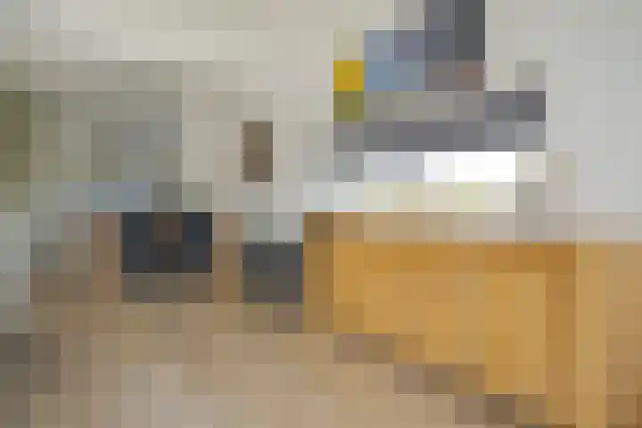Scheepsmeter 18 Blauwestad thumbnail 18