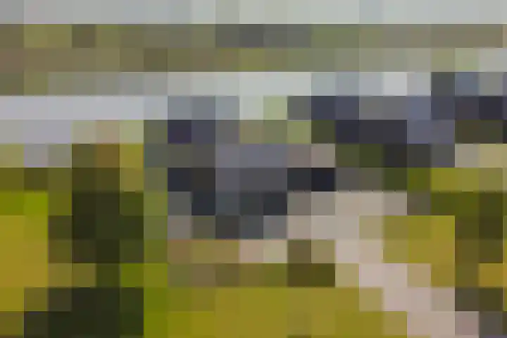 Scheepsmeter 18 Blauwestad thumbnail 49