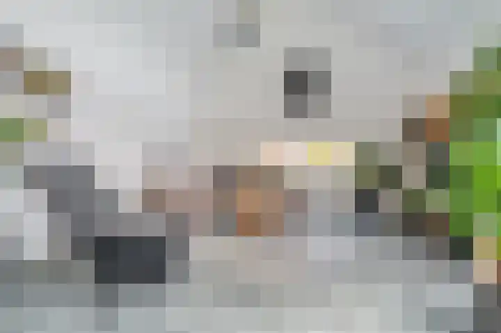 Scheepsmeter 6 Blauwestad thumbnail 37
