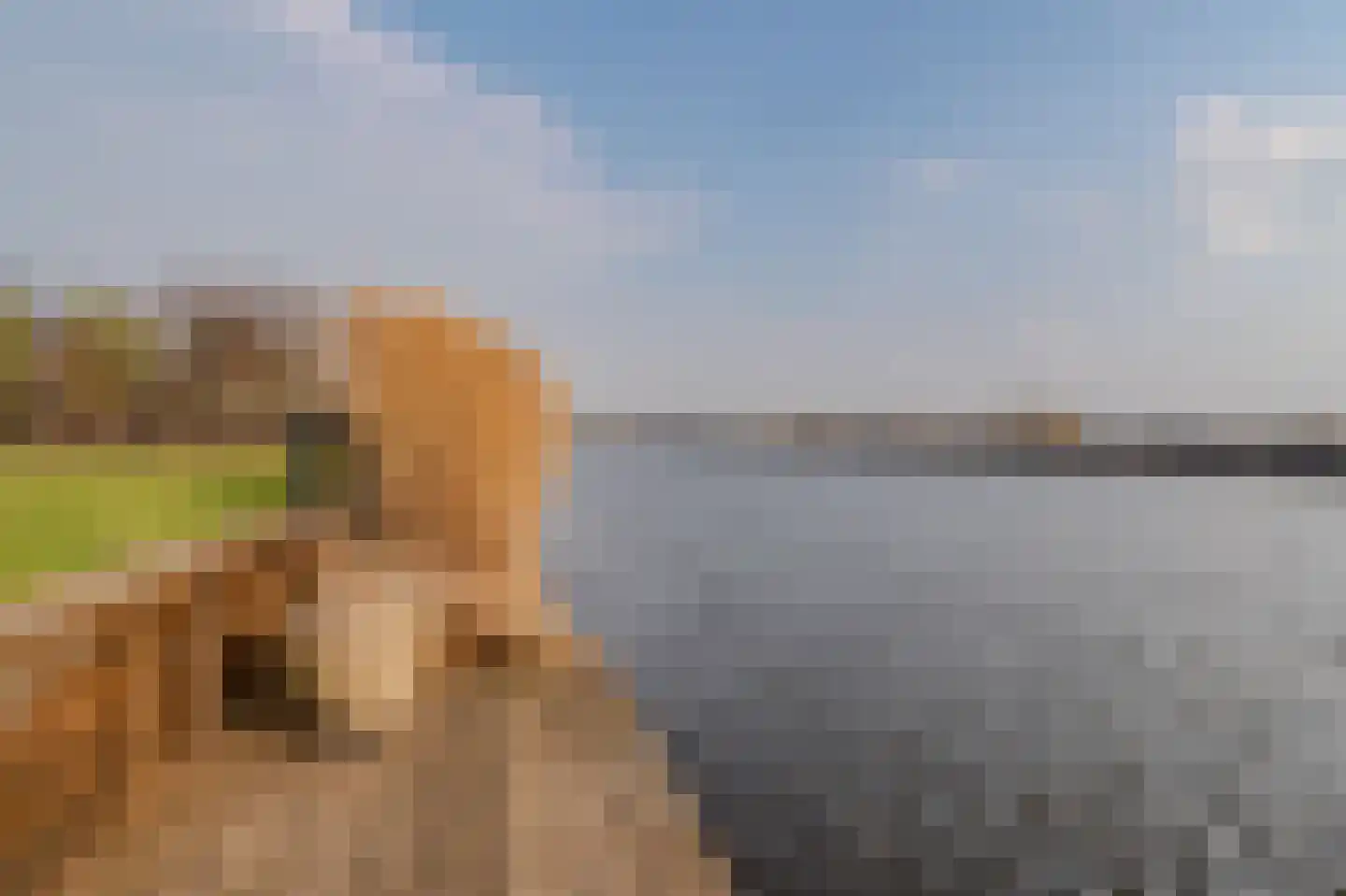 Scheepsmeter 6 Blauwestad thumbnail 55