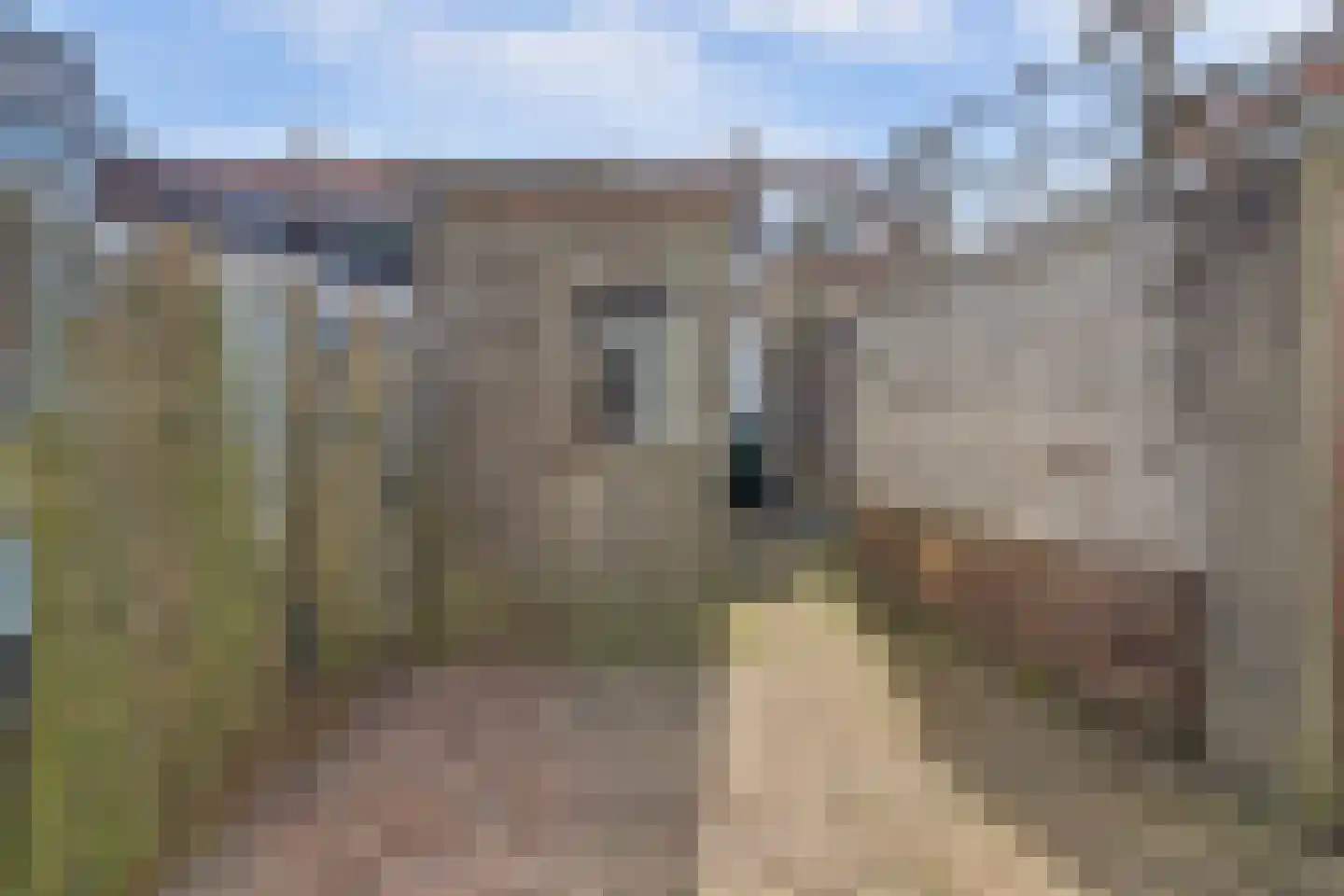 Scheepssingel 13 Harderwijk thumbnail 28