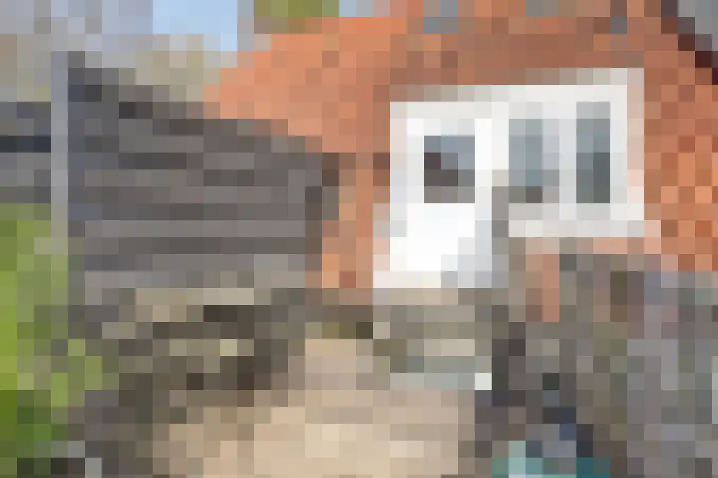 Scheepssingel 13 Harderwijk thumbnail 30