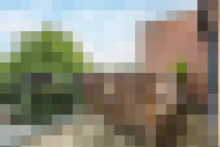 Scheepssingel 20 Harderwijk thumbnail 32