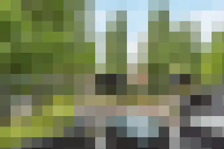 Scheepssingel 20 Harderwijk thumbnail 8