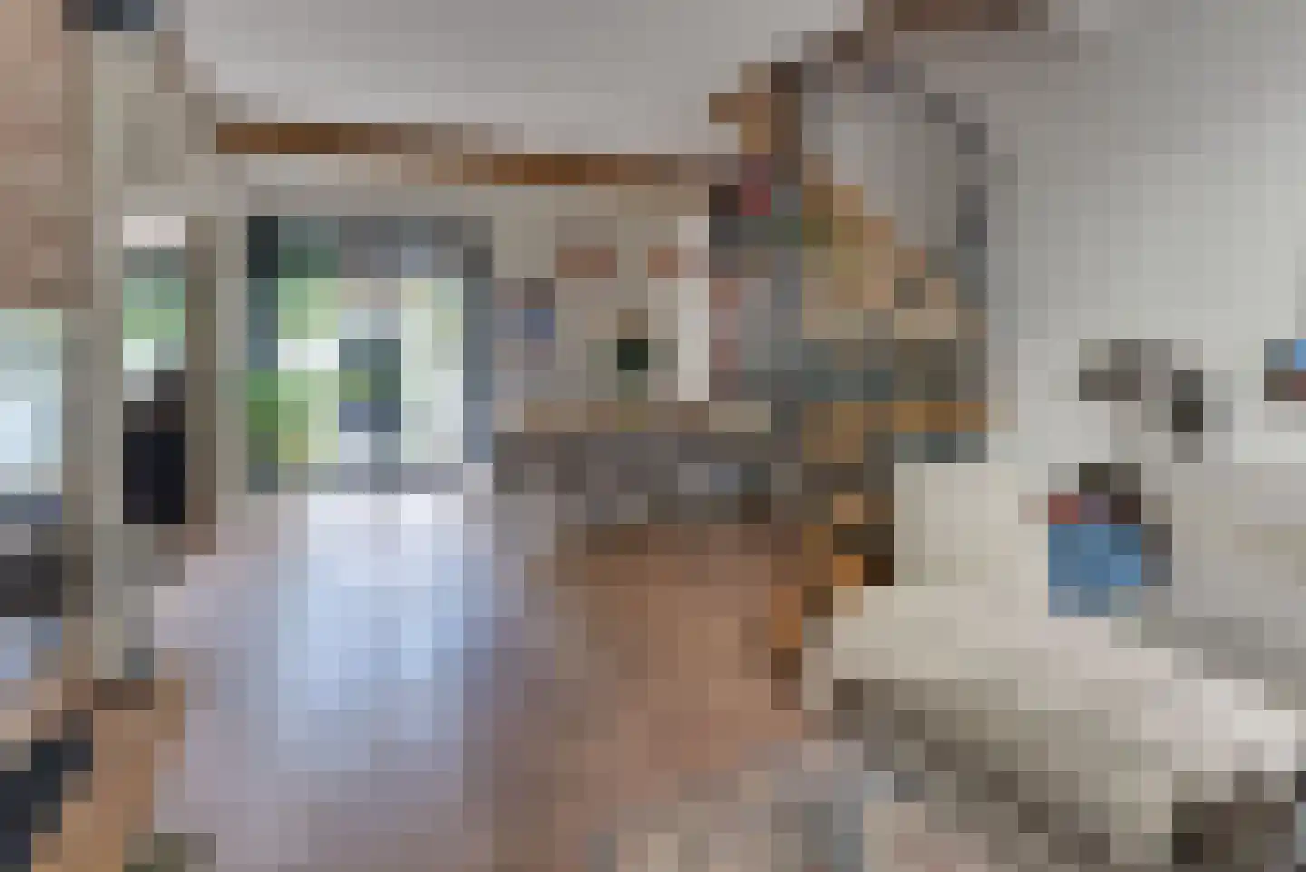Scheepssingel 21 Harderwijk thumbnail 4