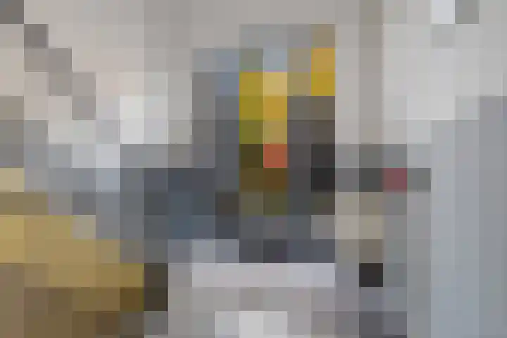 Scheepssingel 28 Harderwijk thumbnail 8