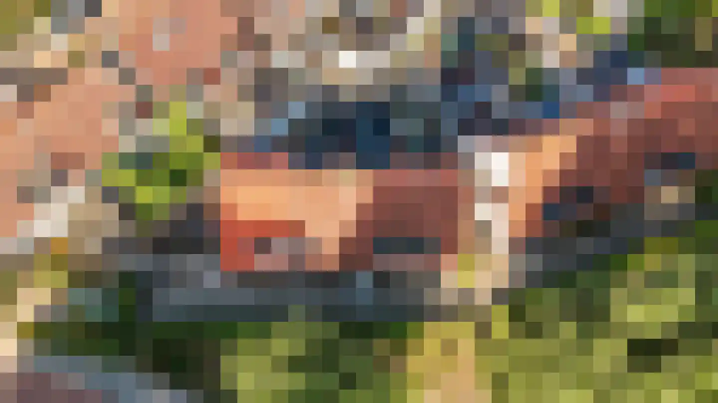 Scheepssingel 5 Harderwijk thumbnail 44
