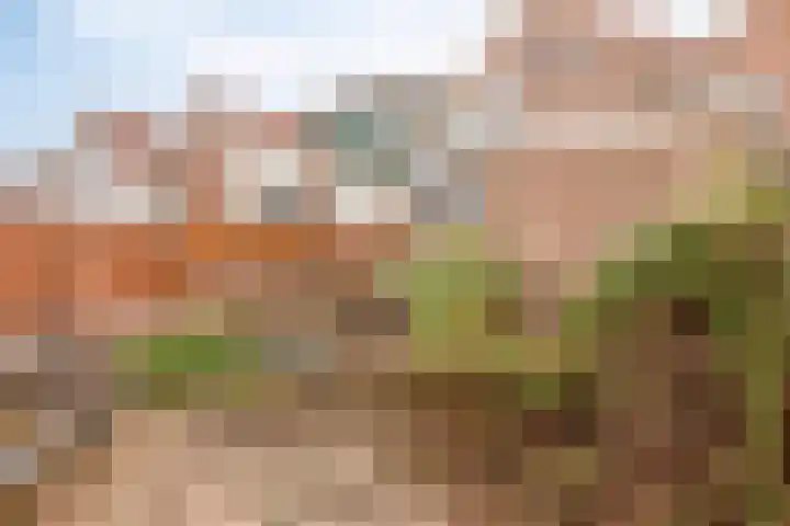 Scheepstimmerdijk 15 Zierikzee thumbnail 37