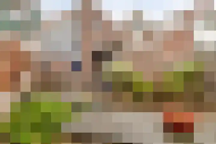 Scheepstimmerdijk 15 Zierikzee thumbnail 38