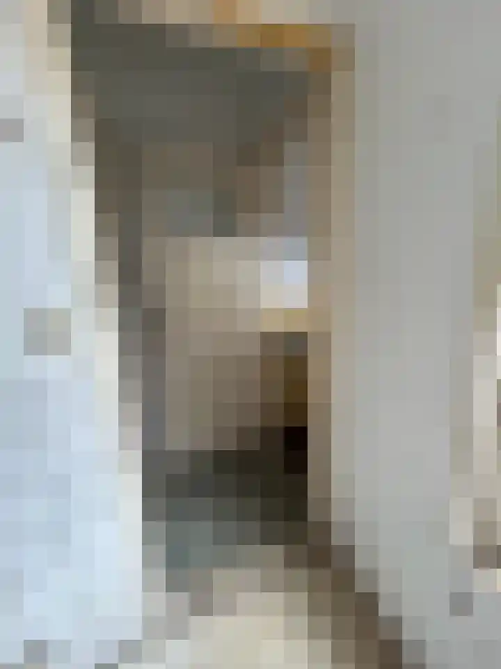 Scheepstimmerdijk 69 Zierikzee thumbnail 13