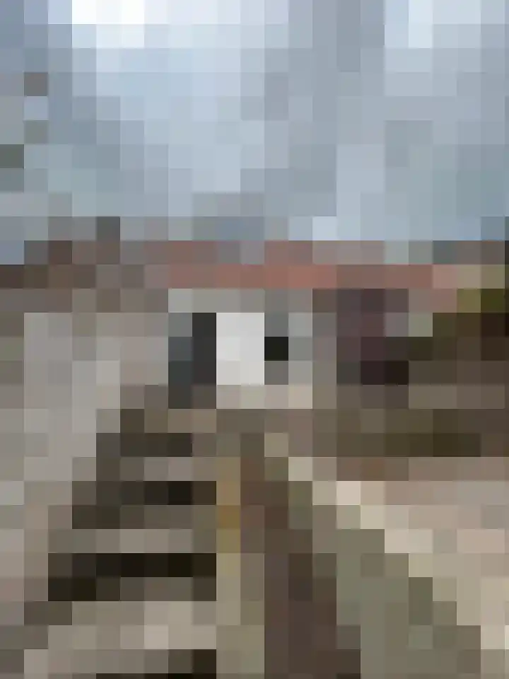 Scheepstimmerdijk 69 Zierikzee thumbnail 22