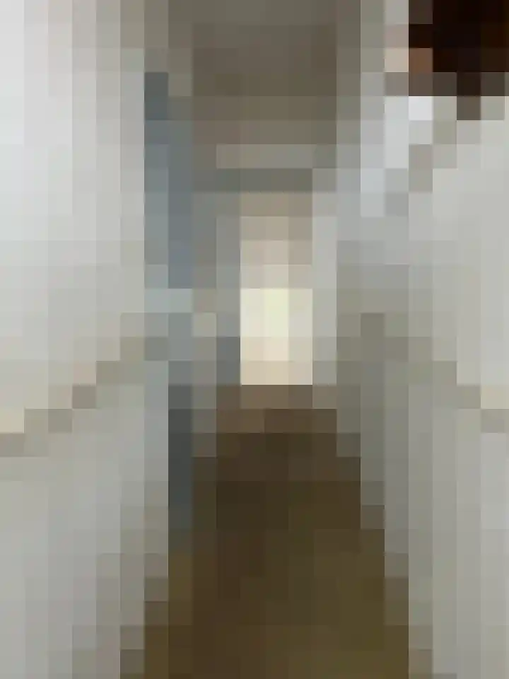 Scheepstimmerdijk 69 Zierikzee thumbnail 4