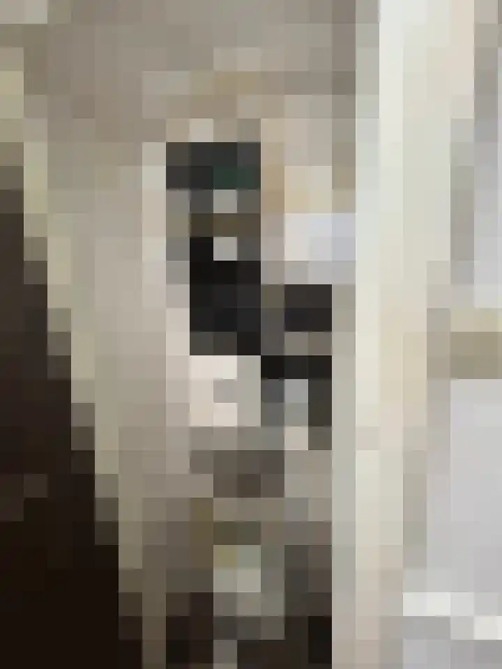 Scheepstimmerdijk 69 Zierikzee thumbnail 5